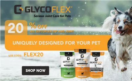 Best Pet Supplies 2025: Food, Toys & Care Essentials 4 Pet Supplies 2025