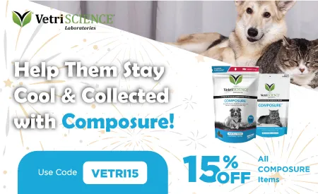 Best Pet Supplies 2025: Food, Toys & Care Essentials 5 Pet Supplies